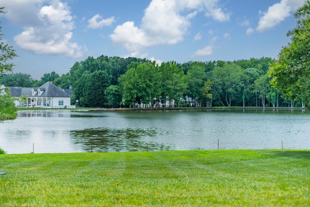 Waldon custom home in South Charlotte — exterior view, photograph 148 of 166